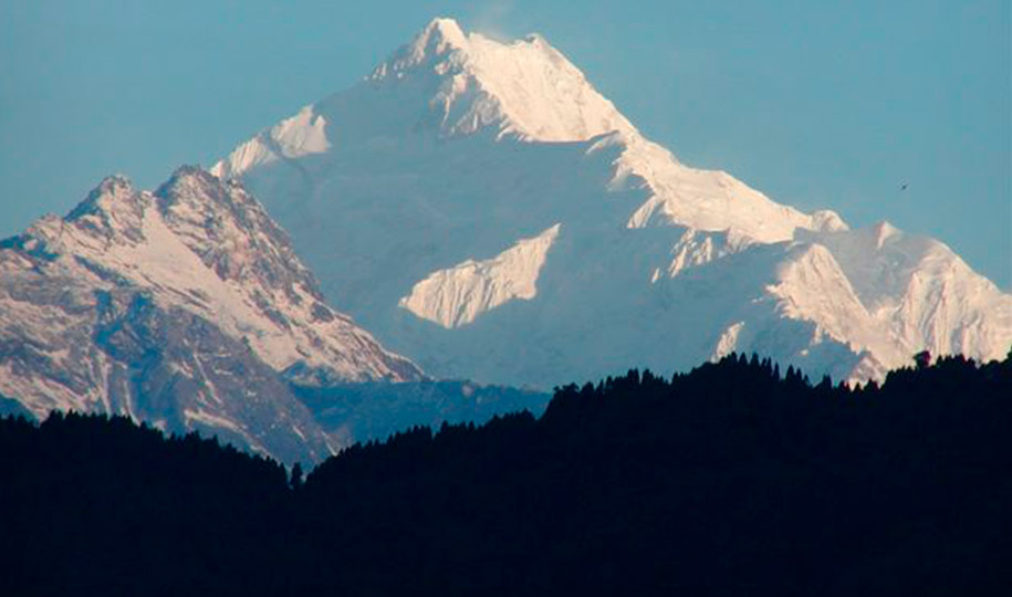 Darjeeling Rohini Wonder | Sans & Sans